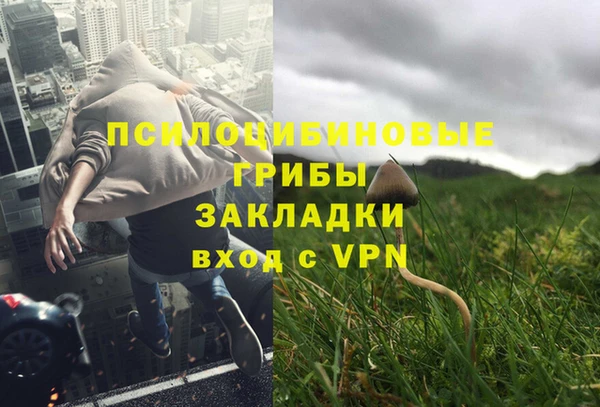 винт Верхний Тагил