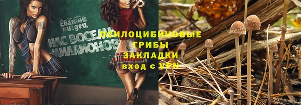 мяу мяу кристалл Бородино