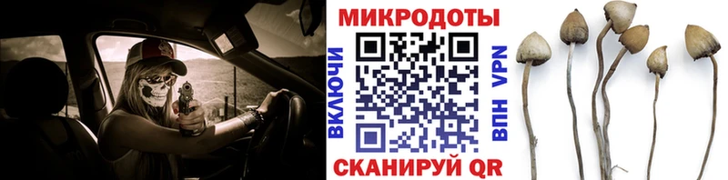 Псилоцибиновые грибы MAGIC MUSHROOMS  Купить  Ивдель 