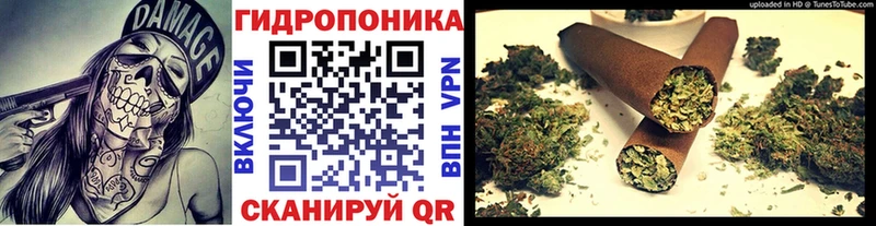 Купить где  Ивдель  Бошки марихуана SATIVA & INDICA 